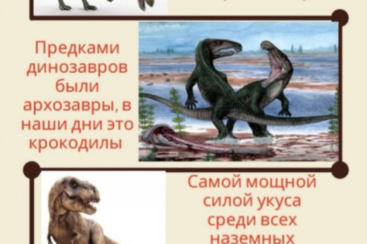 Интересные факты о динозаврах